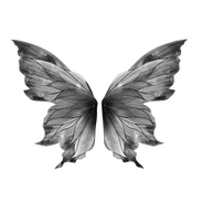 silver butterfly